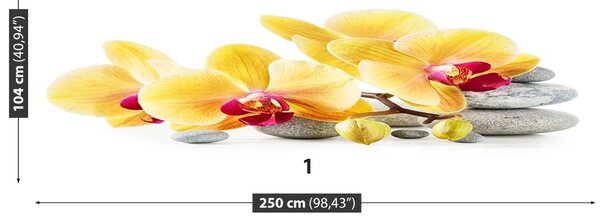Carta da parati Orchidea gialla 104x70 cm