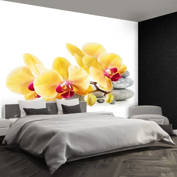 Carta da parati Orchidea gialla 104x70 cm