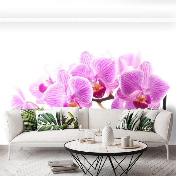 Carta da parati Orchidea rosa 104x70 cm