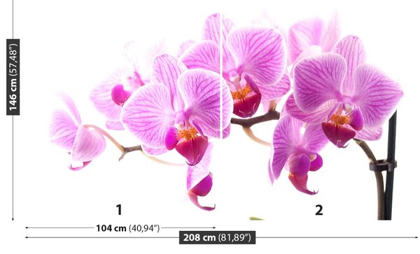 Carta da parati Orchidea rosa 104x70 cm
