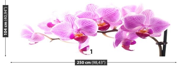 Carta da parati Orchidea rosa 104x70 cm