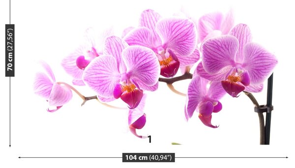 Carta da parati Orchidea rosa 104x70 cm
