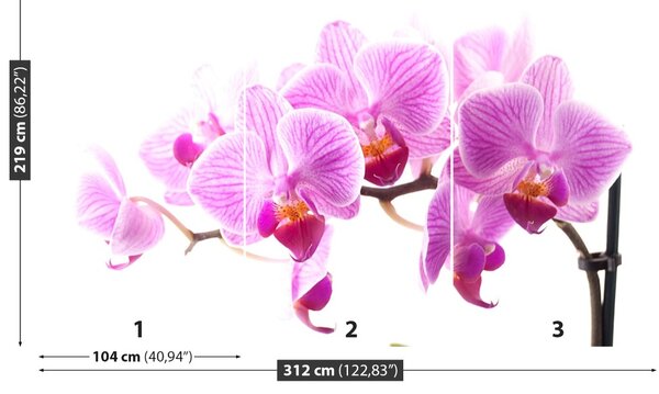 Carta da parati Orchidea rosa 104x70 cm