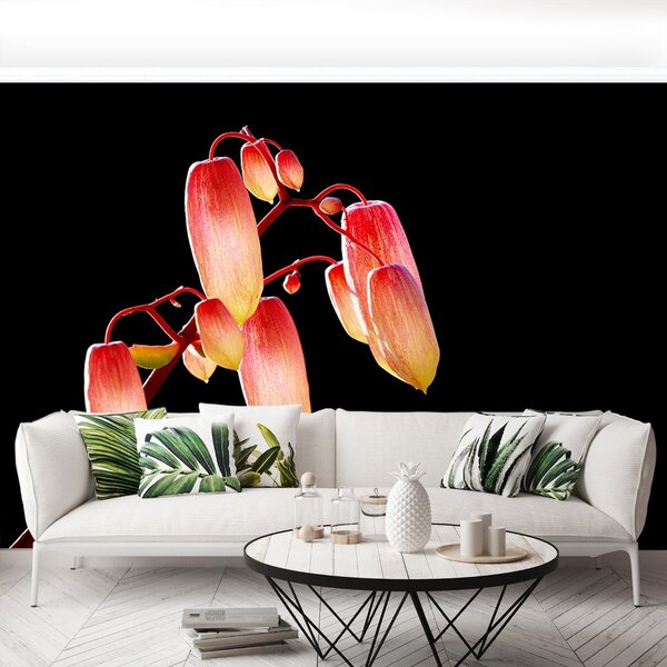 Carta da parati Fiori neri 104x70 cm