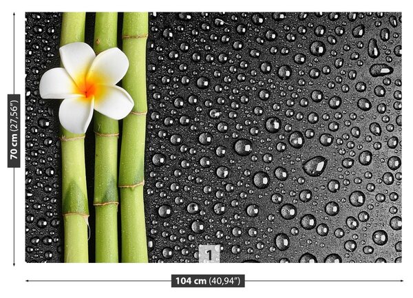 Carta da parati Fiore frangipani 104x70 cm