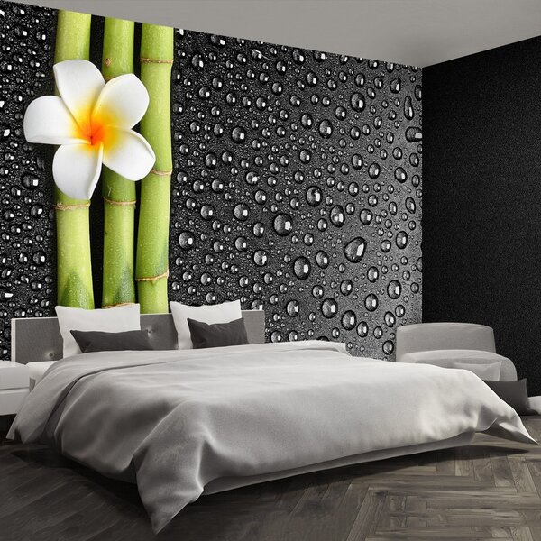 Carta da parati Fiore frangipani 104x70 cm