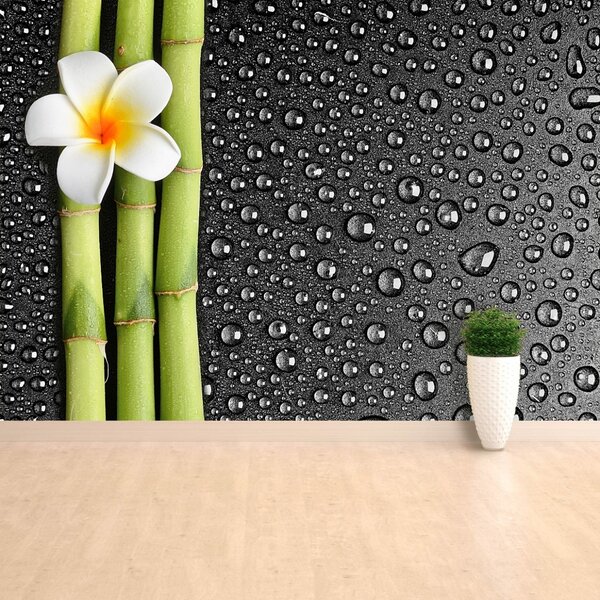 Carta da parati Fiore frangipani 104x70 cm