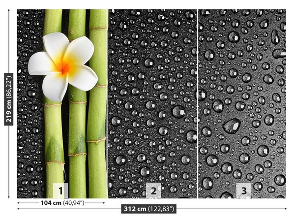 Carta da parati Fiore frangipani 104x70 cm
