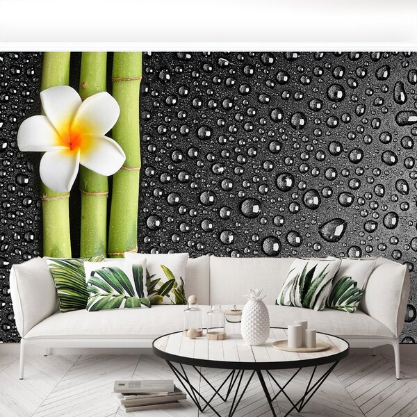 Carta da parati Fiore frangipani 104x70 cm