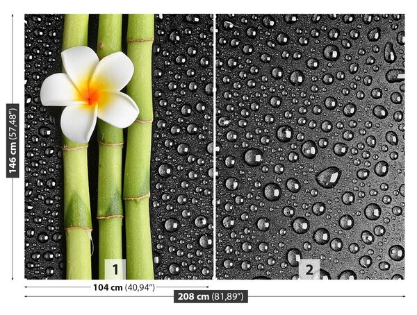 Carta da parati Fiore frangipani 104x70 cm