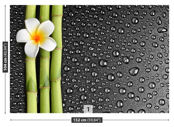 Carta da parati Fiore frangipani 104x70 cm
