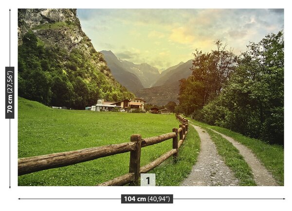 Carta da parati Alpi svizzere 104x70 cm