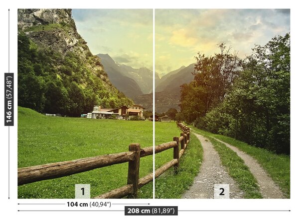 Carta da parati Alpi svizzere 104x70 cm