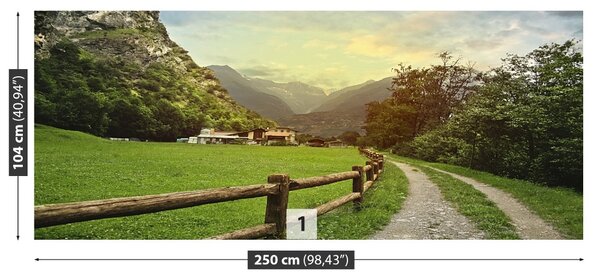 Carta da parati Alpi svizzere 104x70 cm