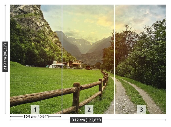 Carta da parati Alpi svizzere 104x70 cm