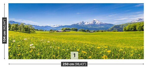 Carta da parati Meadows alpini 104x70 cm