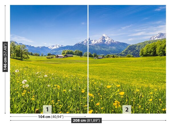 Carta da parati Meadows alpini 104x70 cm