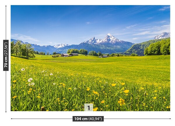 Carta da parati Meadows alpini 104x70 cm