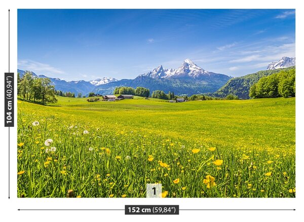 Carta da parati Meadows alpini 104x70 cm