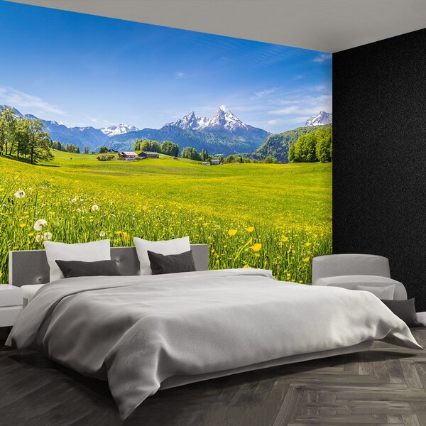 Carta da parati Meadows alpini 104x70 cm