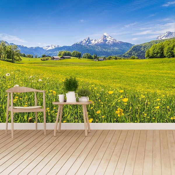 Carta da parati Meadows alpini 104x70 cm