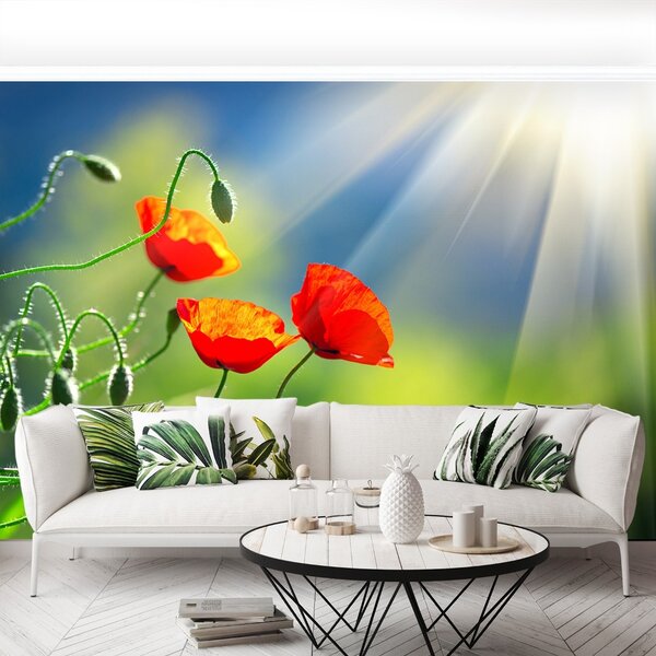 Carta da parati Sole e papaveri 104x70 cm