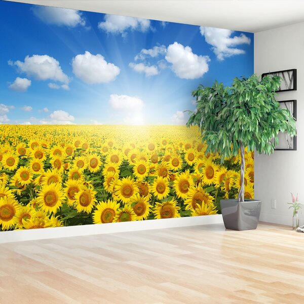 Carta da parati Campi di girasole 104x70 cm