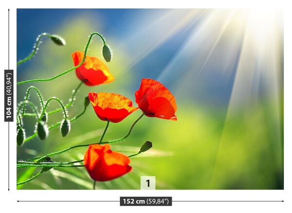 Carta da parati Sole e papaveri 104x70 cm