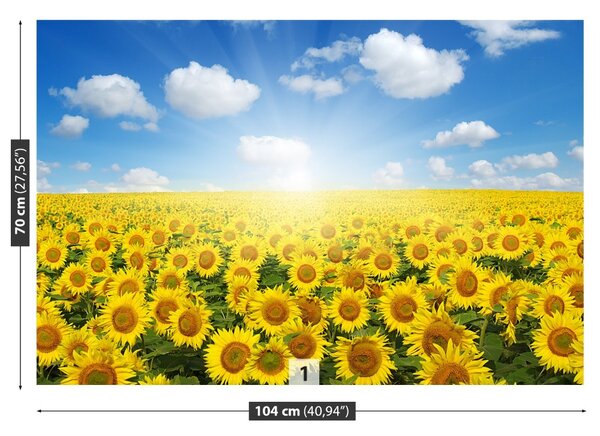 Carta da parati Campi di girasole 104x70 cm