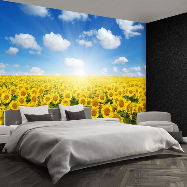 Carta da parati Campi di girasole 104x70 cm