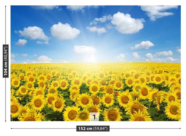 Carta da parati Campi di girasole 104x70 cm