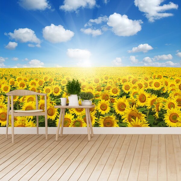 Carta da parati Campi di girasole 104x70 cm