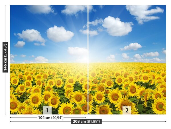 Carta da parati Campi di girasole 104x70 cm