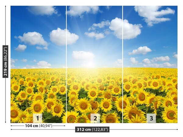 Carta da parati Campi di girasole 104x70 cm