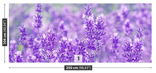 Carta da parati Lavanda viola 104x70 cm