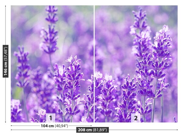 Carta da parati Lavanda viola 104x70 cm