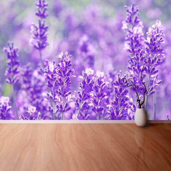 Carta da parati Lavanda viola 104x70 cm