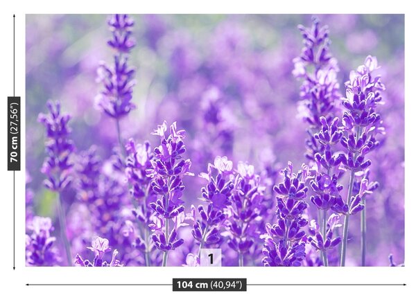 Carta da parati Lavanda viola 104x70 cm