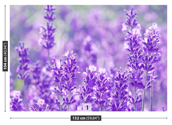 Carta da parati Lavanda viola 104x70 cm