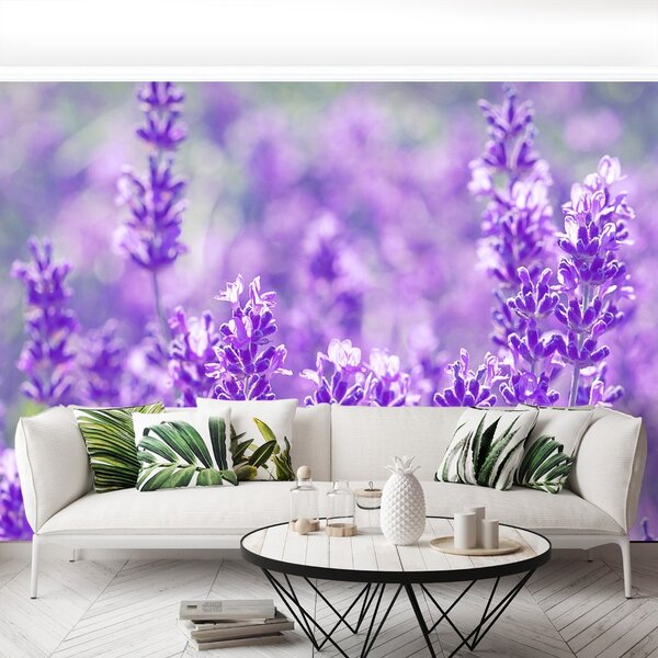 Carta da parati Lavanda viola 104x70 cm