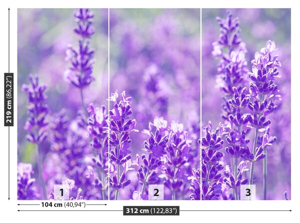 Carta da parati Lavanda viola 104x70 cm
