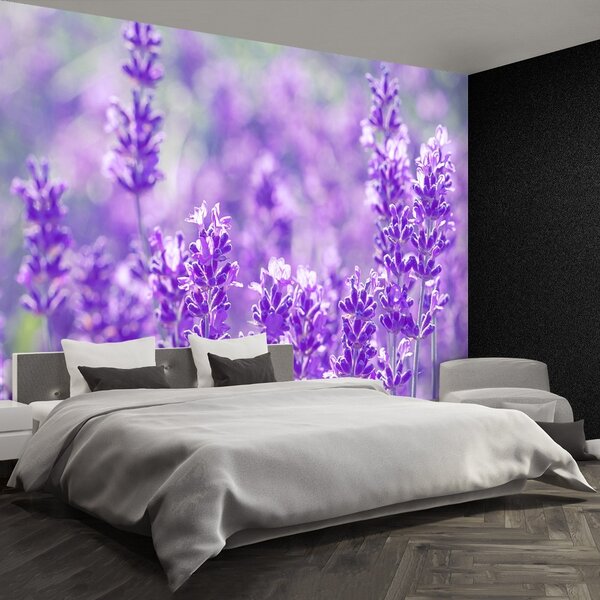 Carta da parati Lavanda viola 104x70 cm