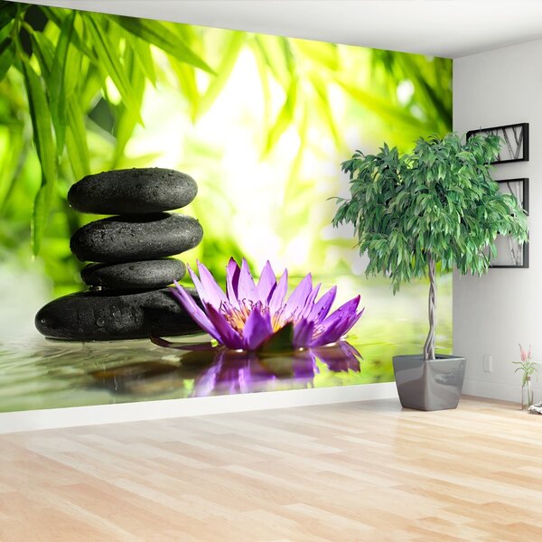 Carta da parati Lotos e Zen Stone 104x70 cm