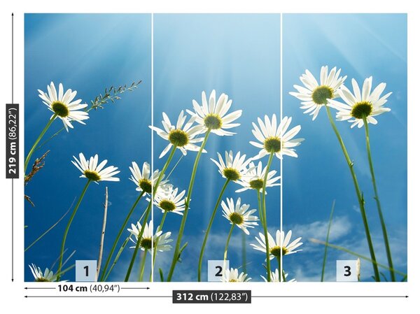 Carta da parati Margherite blu 104x70 cm