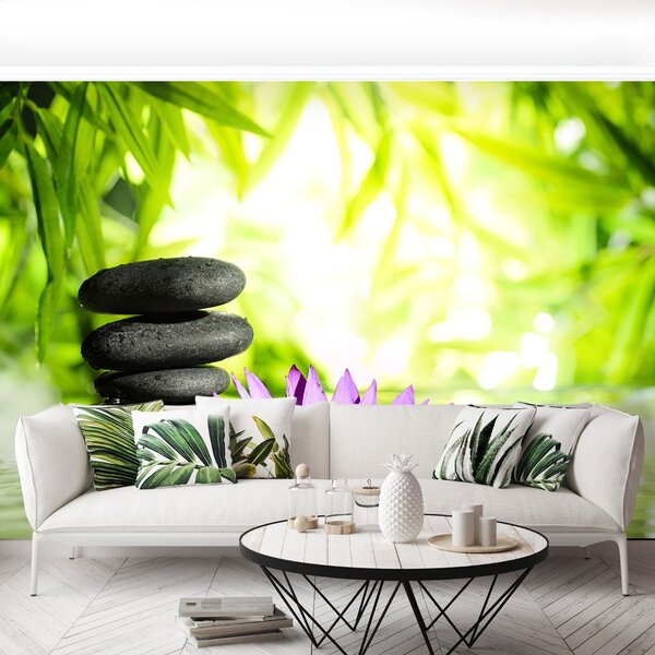 Carta da parati Lotos e Zen Stone 104x70 cm