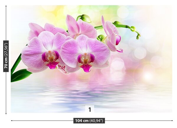 Carta da parati Rose di orchidea 104x70 cm