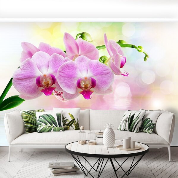 Carta da parati Rose di orchidea 104x70 cm