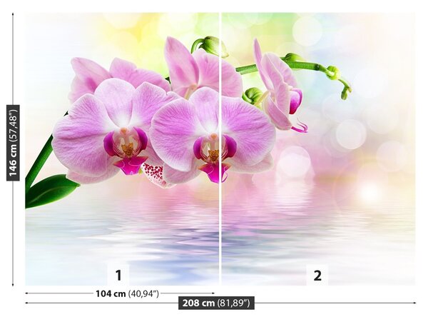 Carta da parati Rose di orchidea 104x70 cm