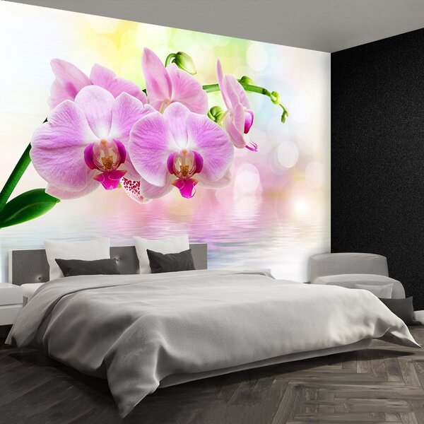 Carta da parati Rose di orchidea 104x70 cm