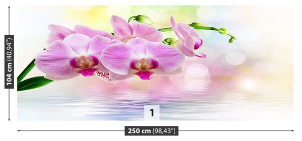 Carta da parati Rose di orchidea 104x70 cm